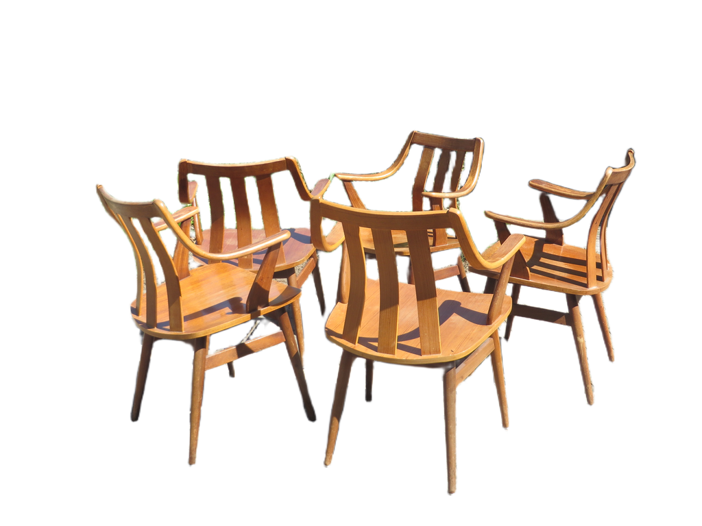 Vintage Pastoe stoelen designer Cees Braakman